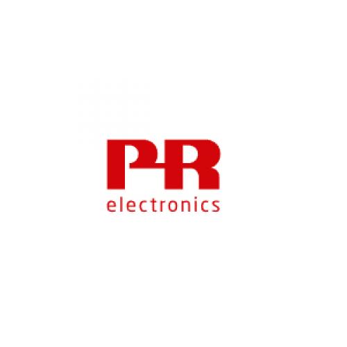 丹麦 PR 佩勒 仪表