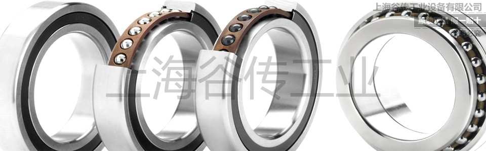 BARDEN角接触球轴承 960-1.jpg